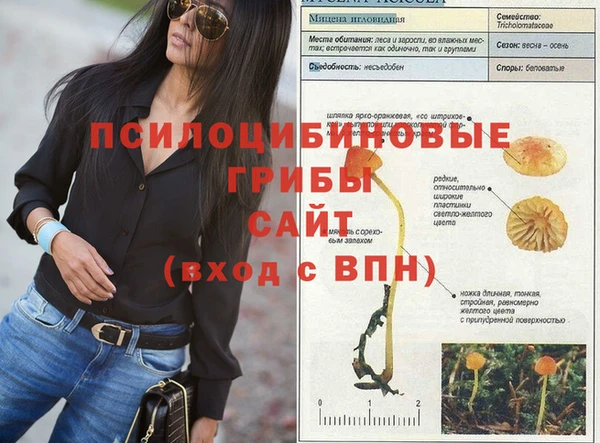 дмт Верхний Тагил